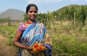 Women’s Entrepreneurship and Livelihood Security